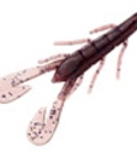 ZOOM ULTRAVIBE SPEED CRAW