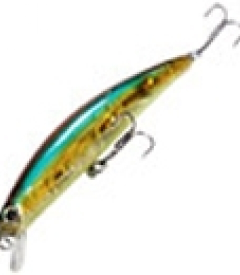 XPS SUSPENDING NITRO MINNOW