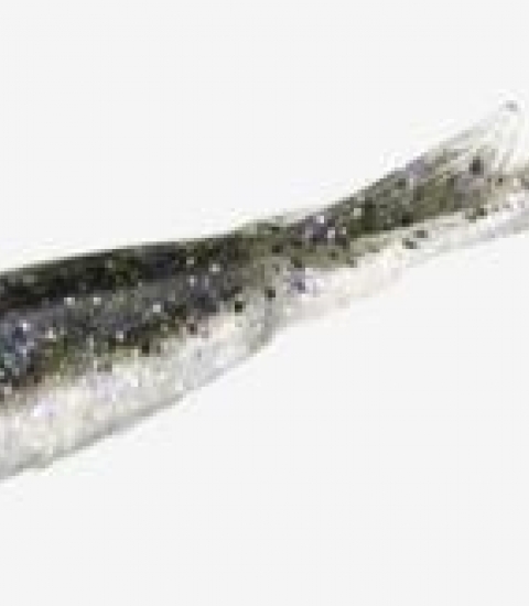 13 FISHING MY NAME IS JEFF