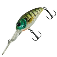 MOLIX SCULPO DR