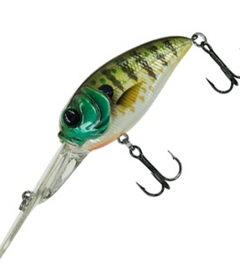 MOLIX SCULPO DR
