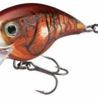 RAPALA BX BRAT BIG