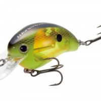 SHIMANO BANTAM WORLD RUSH FLASHBOOST