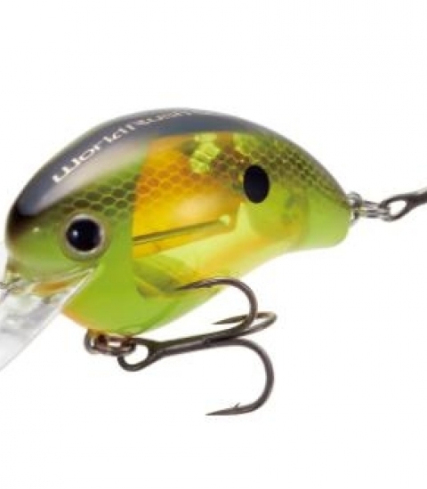 SHIMANO BANTAM WORLD RUSH FLASHBOOST