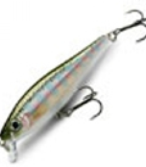 RAPALA BX MINNOW
