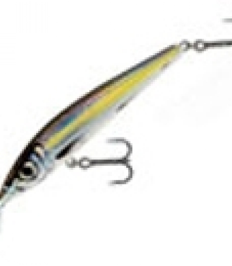 SALMO STING