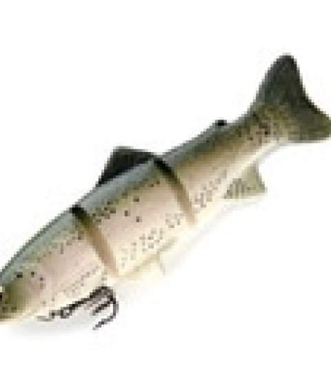 CASTAIG PLATINUM SERIES