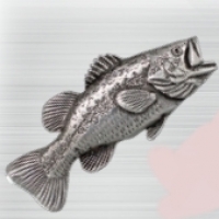 BAITFISHING LLAVEROS