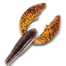 TRIGGER X FLAPPIN'CRAW