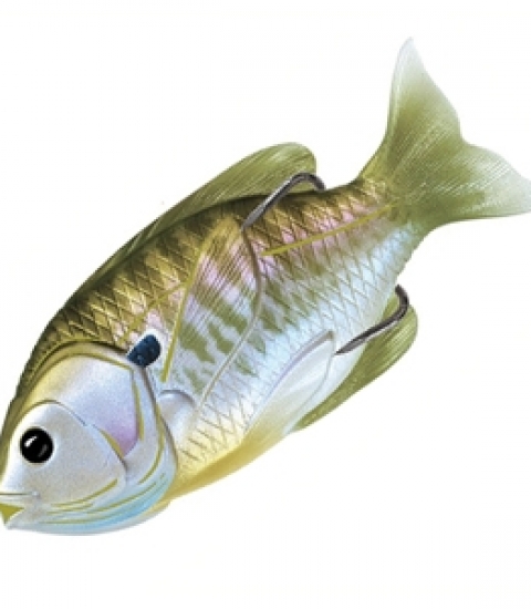 LIVETARGET SUNFISH HOLLOW BODY