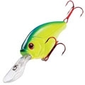 XPS NITRO SHAD