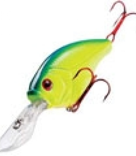 XPS NITRO SHAD