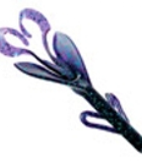 ZOOM BRUSH HOG
