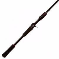 SHIMANO ZODIAS CASTING