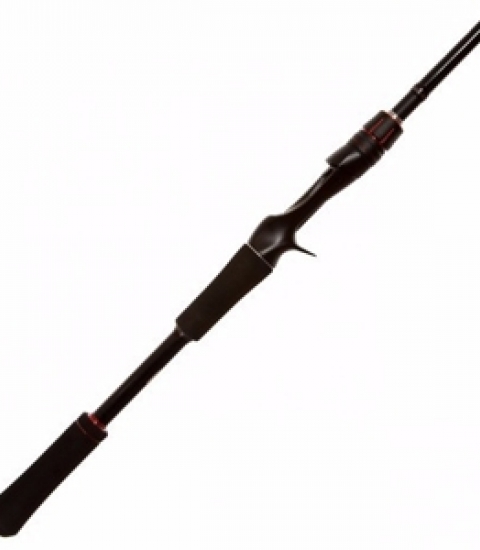 SHIMANO ZODIAS CASTING