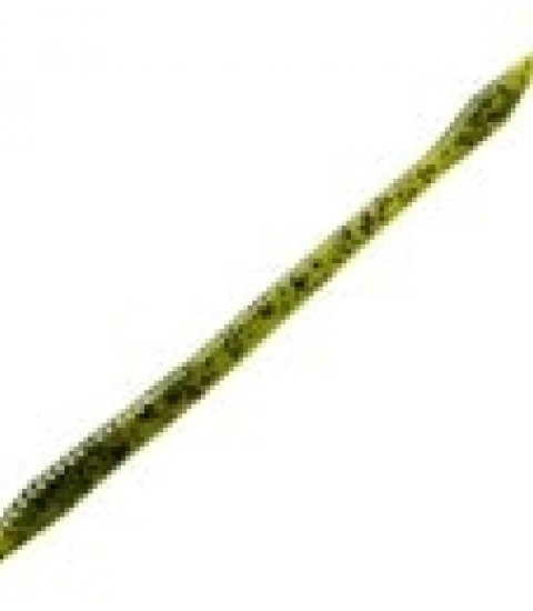 ZOOM TRICK WORM