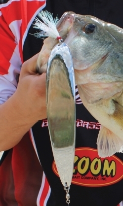 BAITFISHING MAGNA SPOON 8
