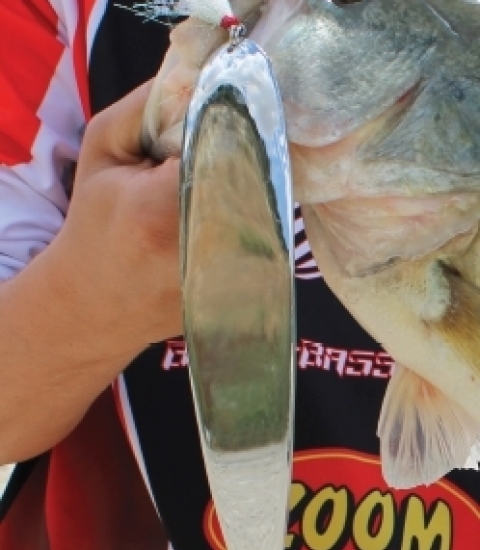 BAITFISHING MAGNA SPOON 8