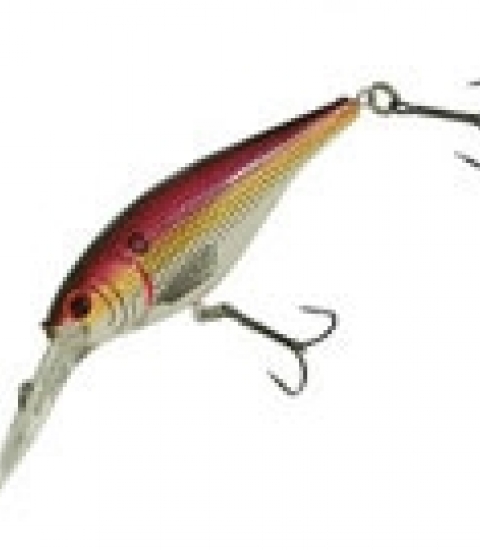 BERKLEY FRENZY FLICKER SHAD