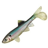 BERKLEY HAVOC SICK FISH