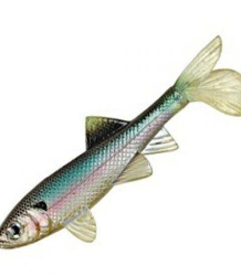 BERKLEY HAVOC SICK FISH