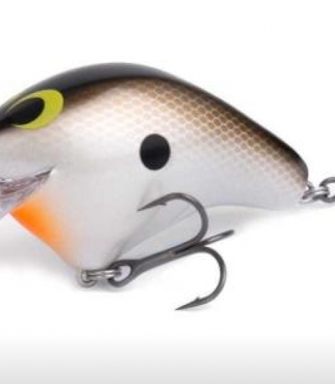 SHIMANO BANTAM MACBETH 63