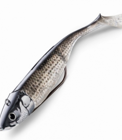 STORM 360GT BISCAY SHAD