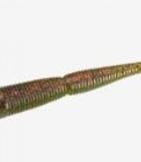 13 FISHING NINJA WORM